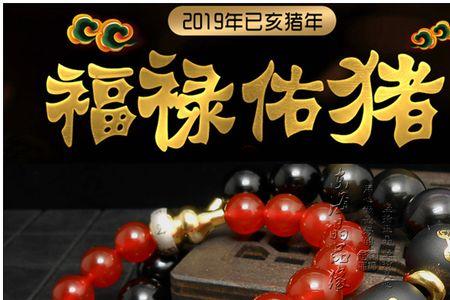 169年属什么