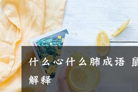什么心什么率成语