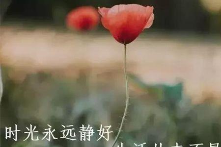 男人感慨现实人生的诗句