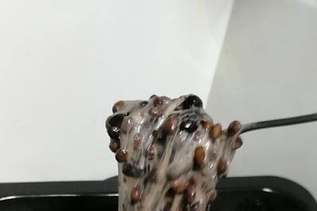 霉毛豆和纳豆的区别