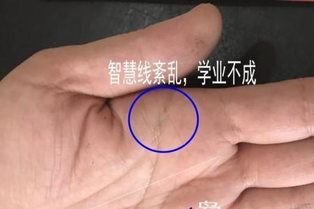 元宝纹左手右手的区别