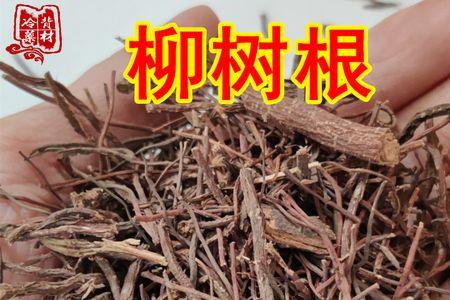 柳树条晒干有什么用途