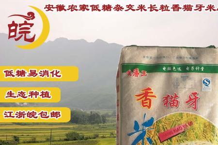广西猫牙米几月成熟