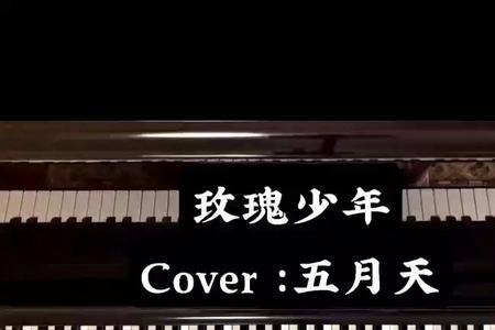 玫瑰少年这首歌背后的含义