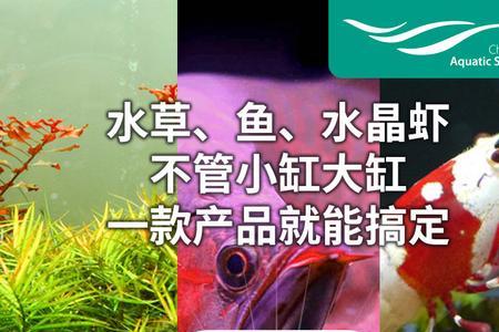 鱼池紫光灯开时间久会怎样