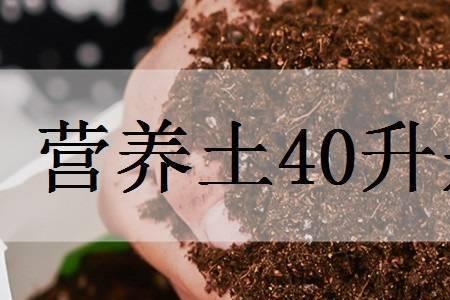 24升等于多少斤