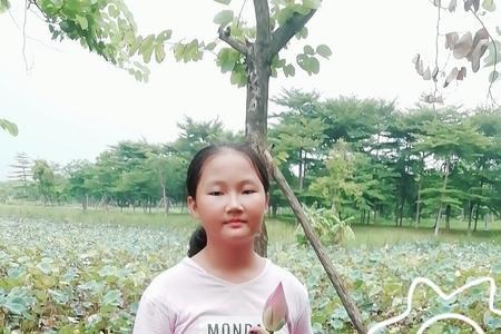 夏日连连有你真甜下一句