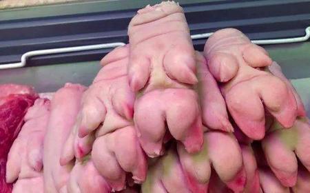 野猪蹄子与家猪蹄子的区别