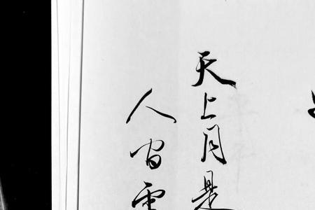 雪中树风骨剑来立三观什么梗