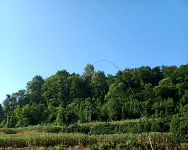连三岛钓鱼最佳位置