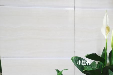 网上买的一帆风顺换盆养殖方法