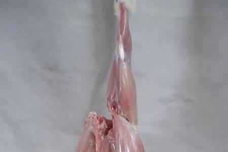 一斤活兔能杀多少肉