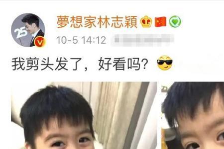 林志颖小儿子哪年生的