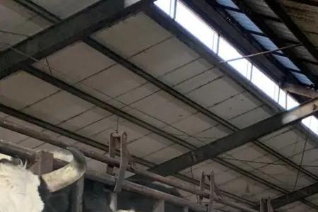 开奶牛场需要哪些证件