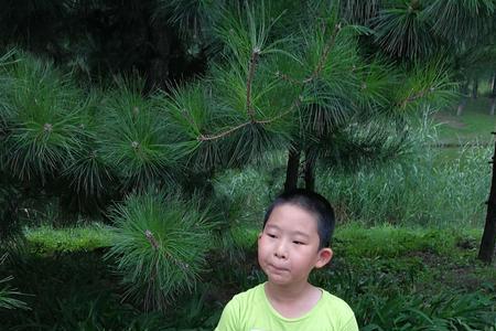 2000年2月2日出生的多大了