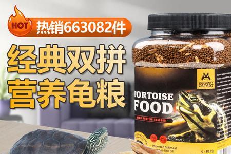 如何调节小巴西龟吃更多龟粮