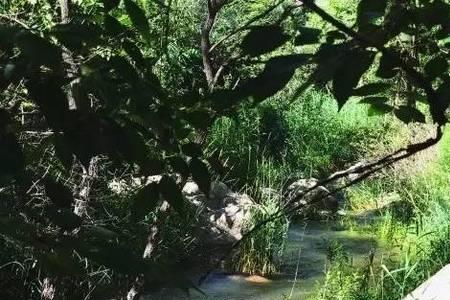 人心弯弯曲曲水下一句是什么