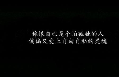说不完道不尽之类的词句