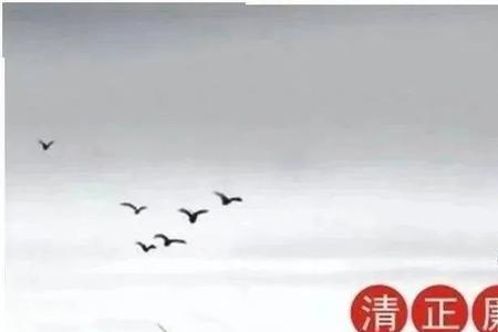 清廉学校创建标语