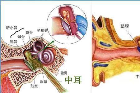 为什么潜水的人鼓膜要打孔