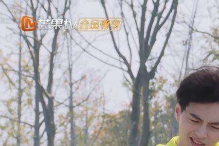 疯狂的麦咭唐九洲哪几期