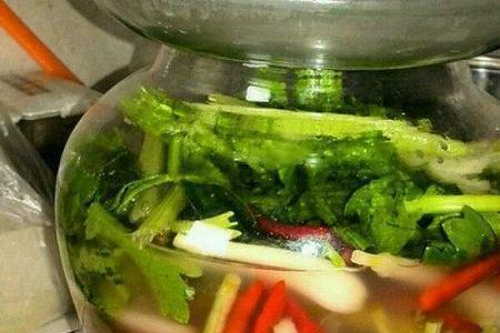泡菜母水可以用泡椒水吗