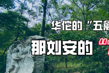 六禽戏是什么