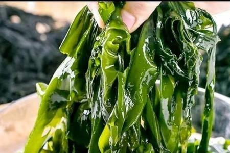 裙带菜怎样熨烫