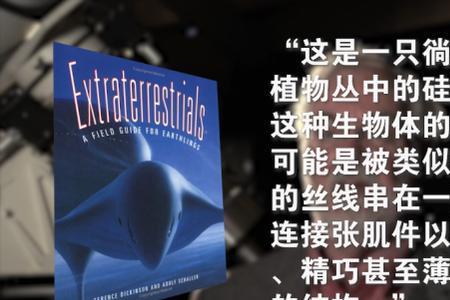 碳基人和硅基人什么意思