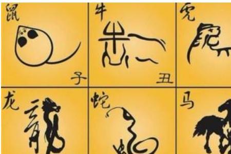 21年四十九岁属什么生肖
