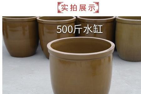 阉猪肉缸能腌菜吗