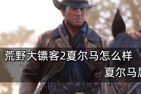 荒野大镖客2夏尔马好不好
