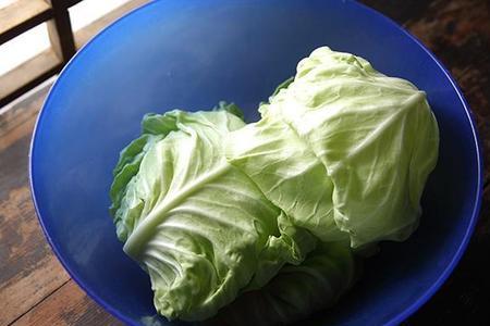 洋白菜和卷心菜说的是同一个吗
