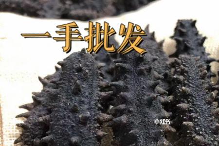 海参内筋贵还是海参贵