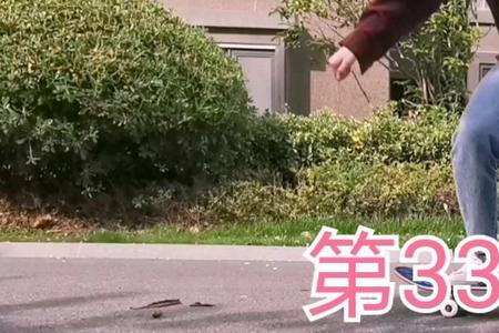 滑板豚跳要练多久