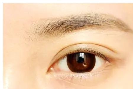 眉长过眼的女人性格