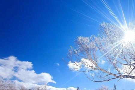 冬天雪的特点