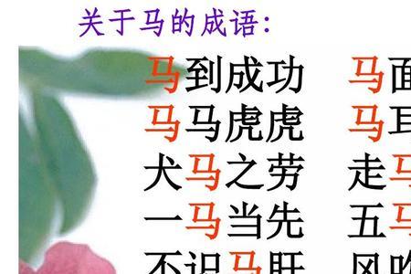 带马和虎的成语