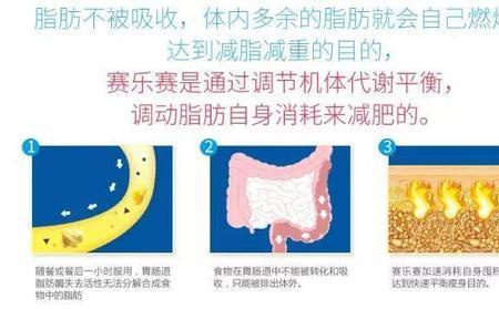 赛乐赛是哪家企业的