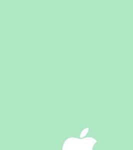 wallpaper需要加速吗