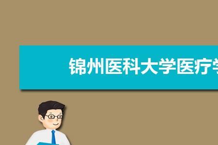 锦州医科大学医疗学院是民办的