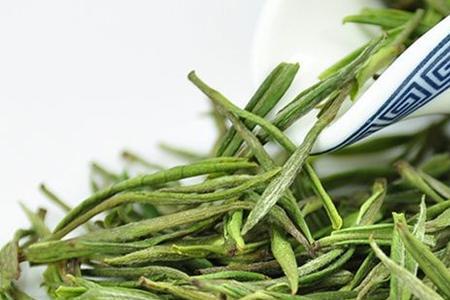 绿白茶怎么泡