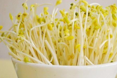 100克豆芽有多少