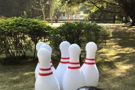 保龄球是用什么材质做的