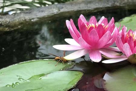 暖照是什么意思