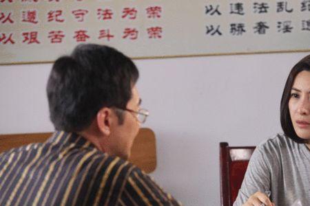 马向阳下乡记丁秋香告状结局