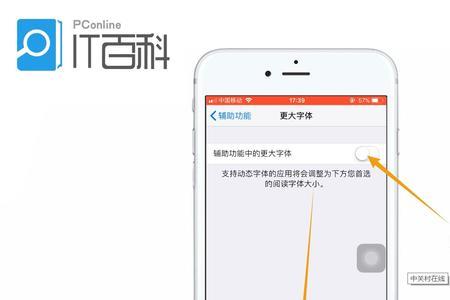 苹果怎么调整雪球字体大小