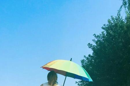 昔日阳光是什么意思