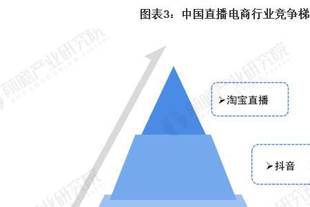 直播电商的最大类目