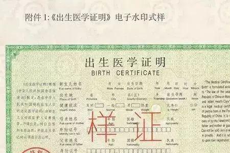 医学出生证明是一式三份吗